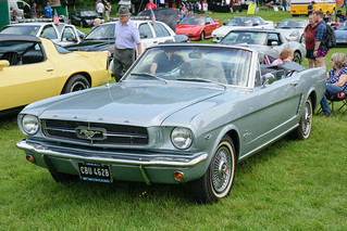 AJ%20Ravenswood's%20Mustang/mustang.jpg